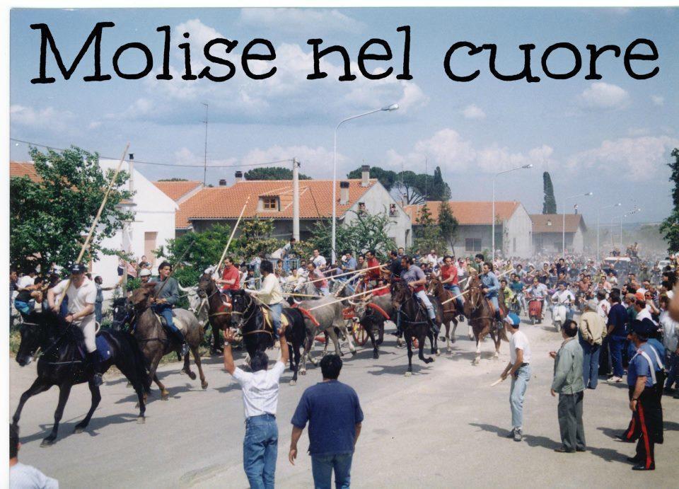 Il Pentagono Hotel Termoli Eksteriør billede