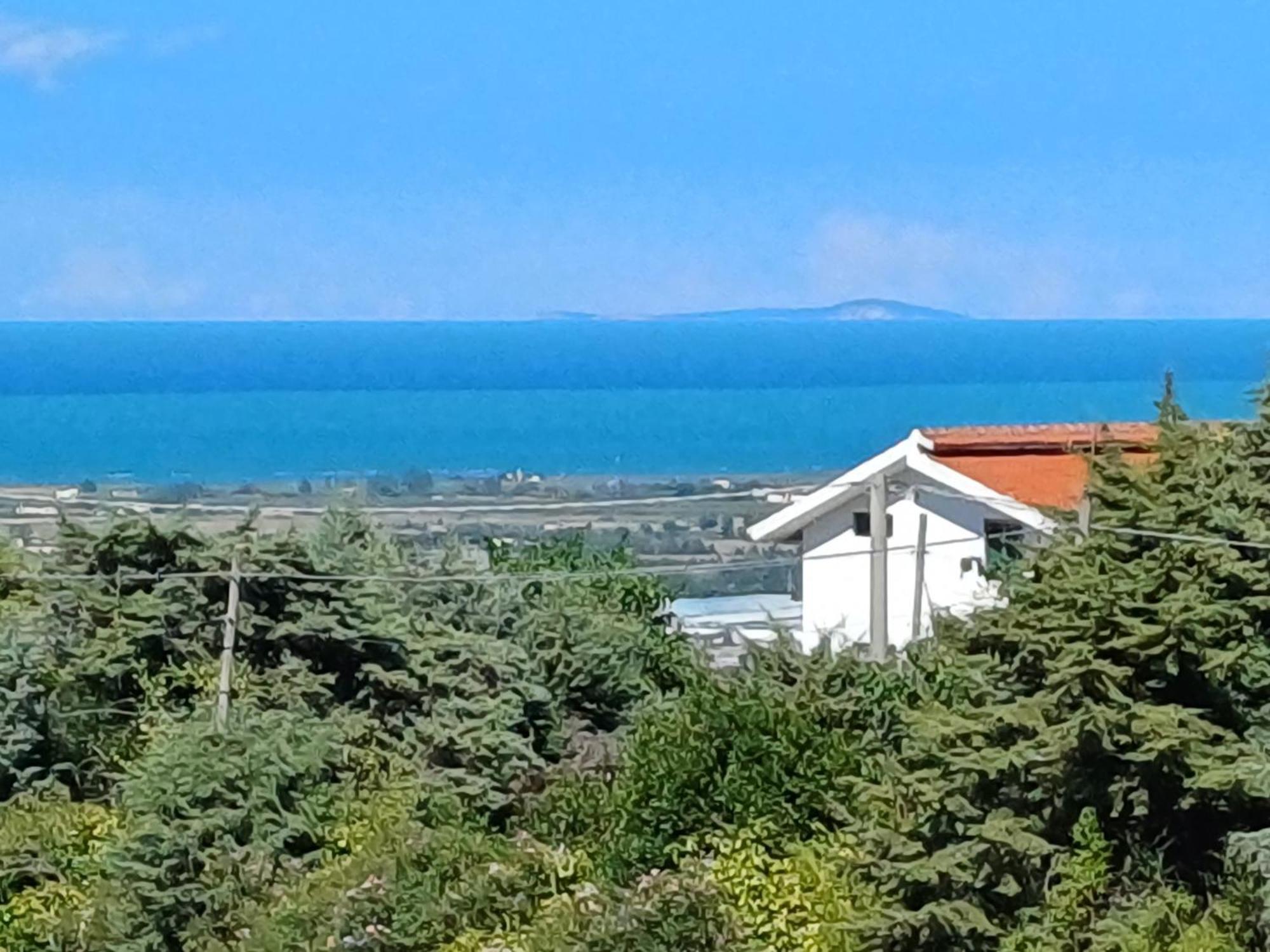 Il Pentagono Hotel Termoli Eksteriør billede
